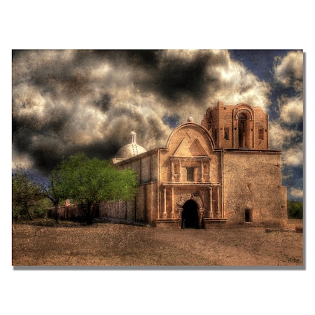 Lois Bryan 'Cathedral' Canvas Art,30x47